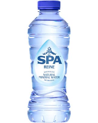 SPA REINE PET 33CL