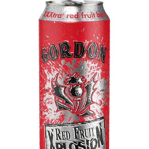 GORDON RED FRUIT XPLOSION 11° 50CL (x12)